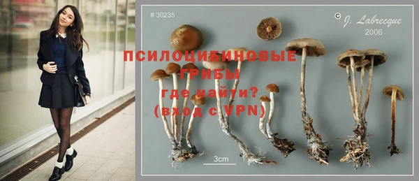 кокс Армянск