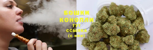 спайс Баксан
