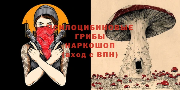 каннабис Аркадак