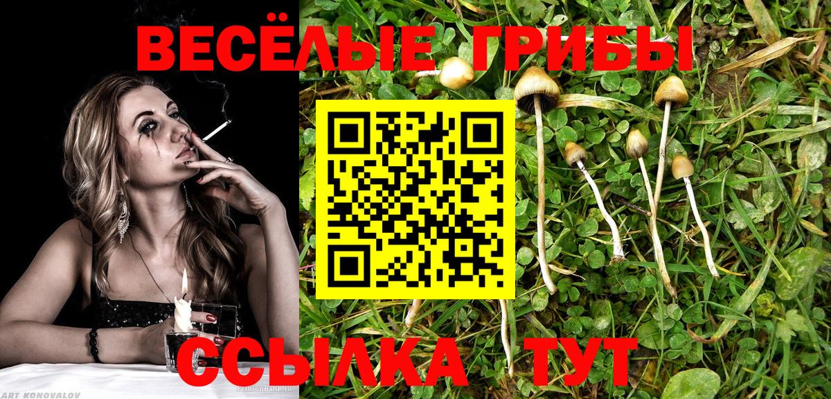 Галлюциногенные грибы ЛСД  Вход с VPN  Белая Калитва 