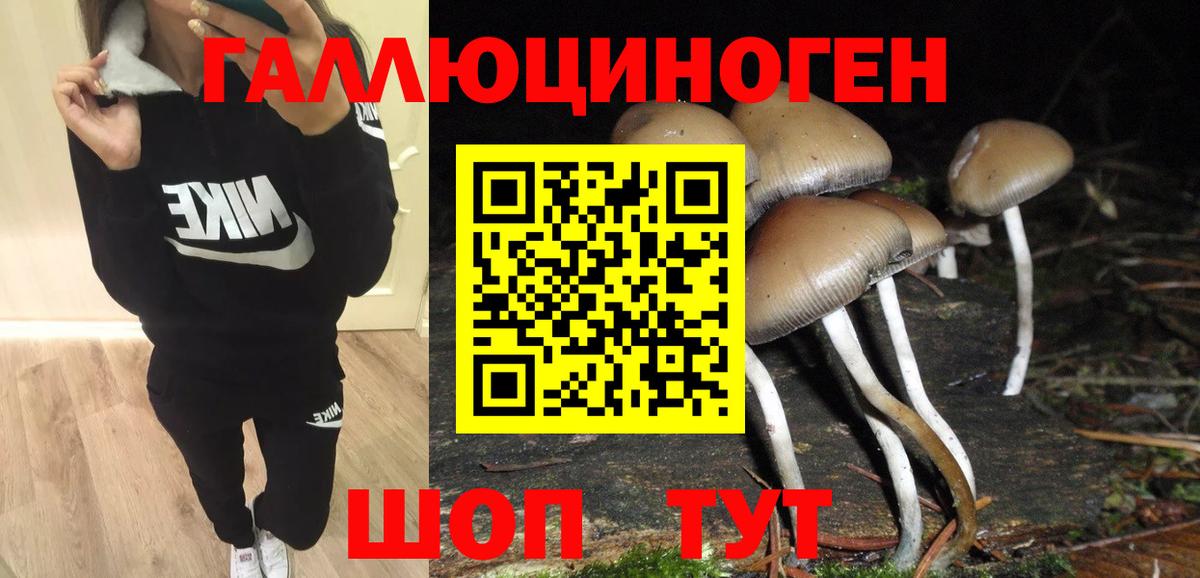 Псилоцибиновые грибы прущие грибы  где найти наркотики  Белая Калитва 